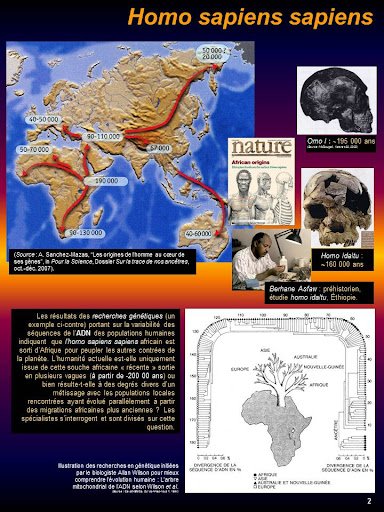 L'Apparition de l'Homo Sapiens