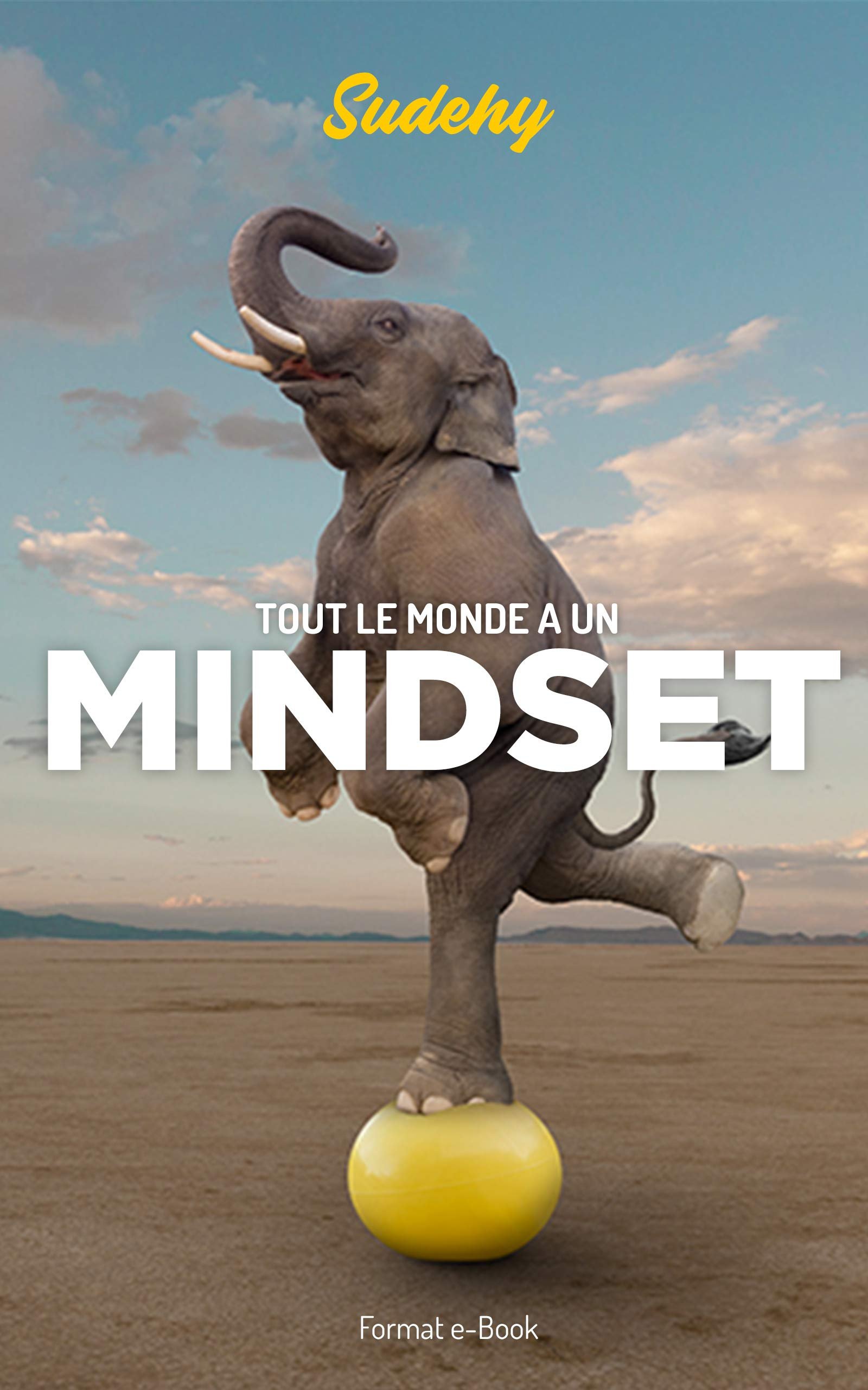 Tout le monde a un Mindset
